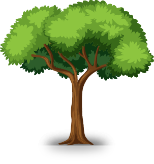 Tree Animation Image