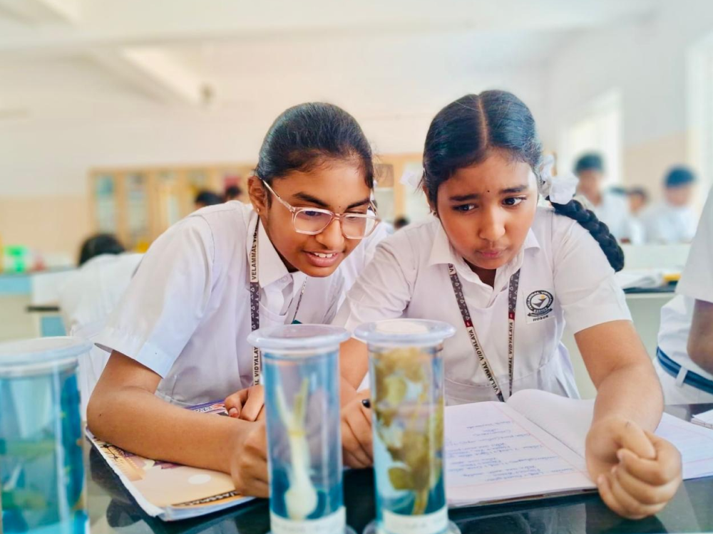 CBSE Schools in Vanagaram